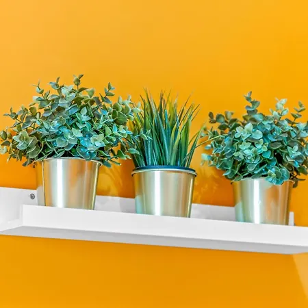 Apartament A 199m De La Playa *